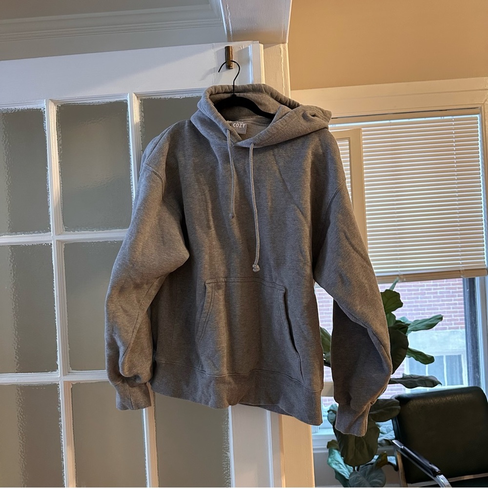 Aritzia cozy boyfriend hoodie